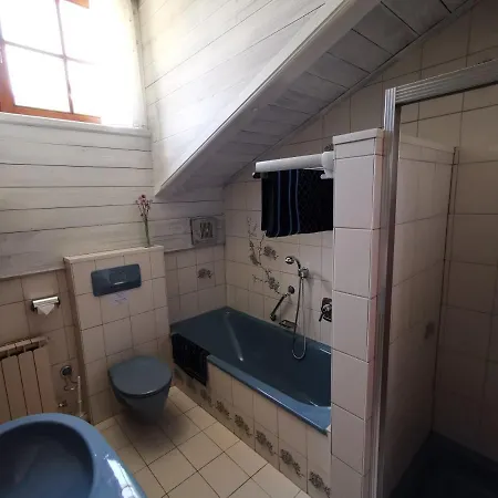 Ferienwohnung Klaus Dienten Fewoklaus Blumenhaus Apartmán